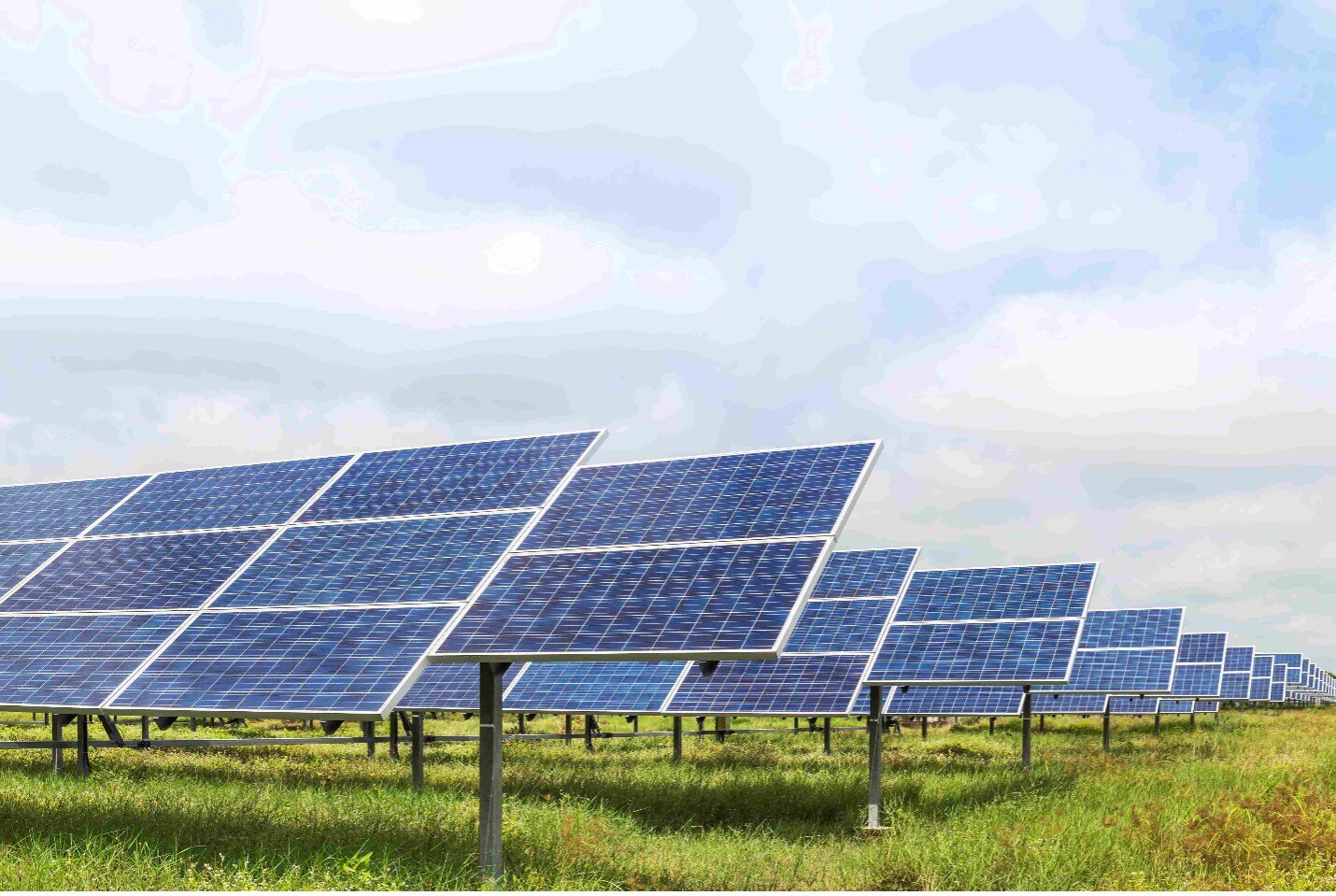 solarpanels in field